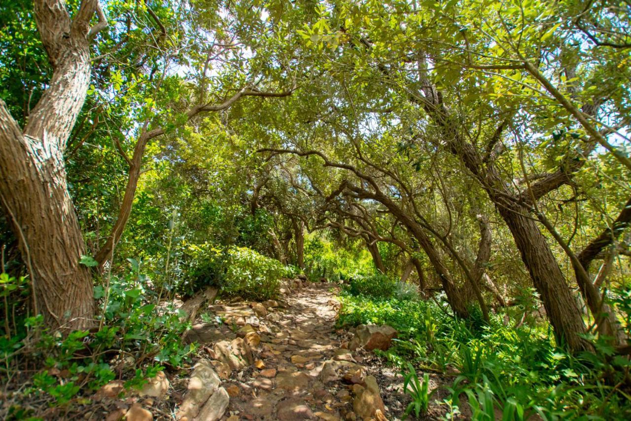Makapa Lodge Cape Town Eksteriør bilde